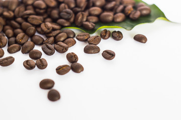 coffee beans on the white ground