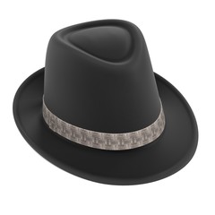 3d renderings of fedora hat