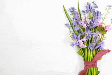 Bouquet with colorful wild hyacinths on white wooden background