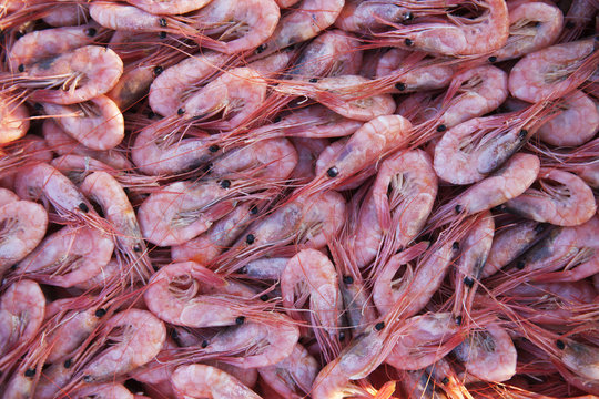 Full frame of prawns