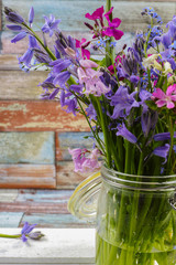 Jar with fresh colorful bouquet spring forest flowers and hyacin