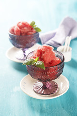 Watermelon granita