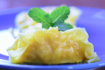  fresh dumpling on plate