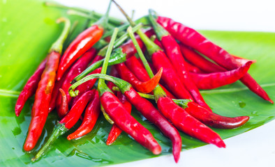 red chilli is very hot in thai food