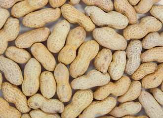 Roasted peanuts in shell