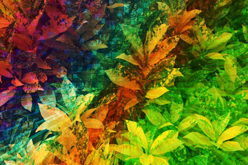 colorful leaves in refulgent background