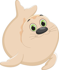 cute Seal cartoon