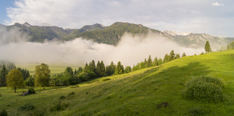 Mglisty poranek na słówenii,jezioro Bohinj © Mike Mareen