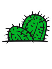 Fototapeta premium floor small cactus kakten sweet cute grow desert