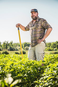 Bearded man in vegetable patch leaning against hoe looking at camera smiling