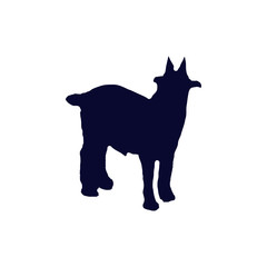  billy goat silhouette 