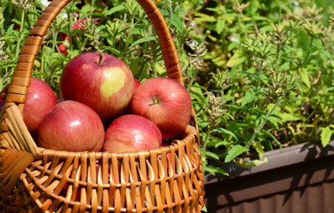 Red apples