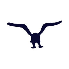 eagle  silhouette 