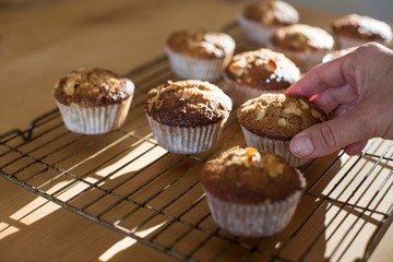 Hand picking up gluten free muffins from cooling tray