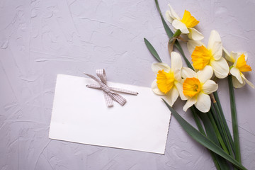 Background with spring  flowers and empty tag for your text