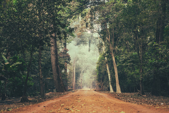 Dirt Road Stretching Through Cambodian Jungle.