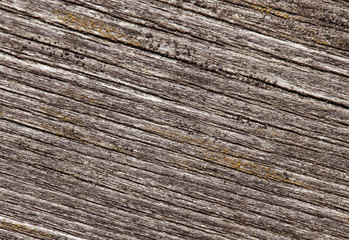 Abstract cracked wood  