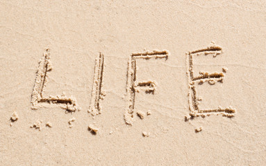 Word of life on the sand