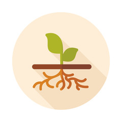 Plant with roots flat vector icon, garden