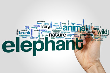 Elephant word cloud concept