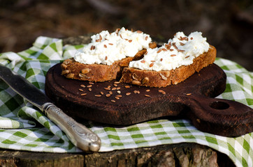 Sandwiches with ricotta and seeds of flax on a picnic