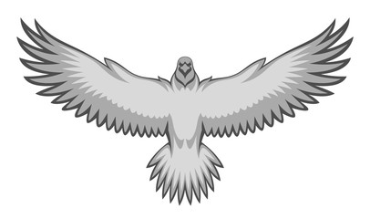 Grey eagle