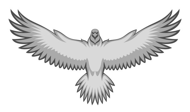 Grey eagle