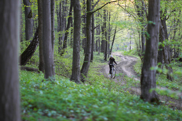 bicyclist in the spring forest