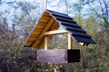 Horizontal view of new wooden birdhouse hanging on tree branch outdoors with blurred out green trees in background during spring day