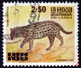 Postage stamp Sri Lanka 1981 Fishing Cat