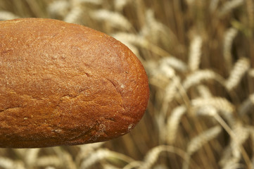 Bread before Cornfield