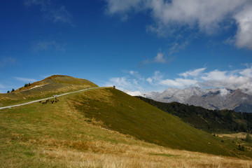Fototapeta premium DOLOMITI DEL BRENTA