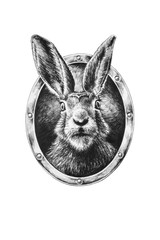Pencil drawing of a rabbit in a frame, isolated on a white background. - 109239925