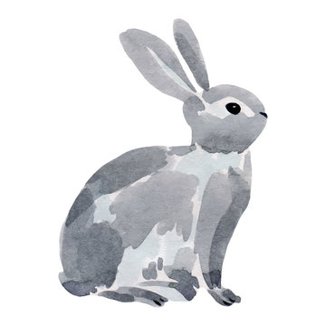 Watercolor illustration of a rabbit.