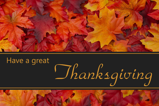 Happy Thanksgiving Greeting