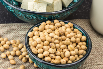 Soybeans and tofu closeup