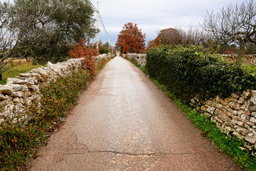 paved road straight to infinity between the dry stone walls in P