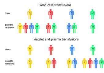 Blood transfusions scheme - donors and possible recipients