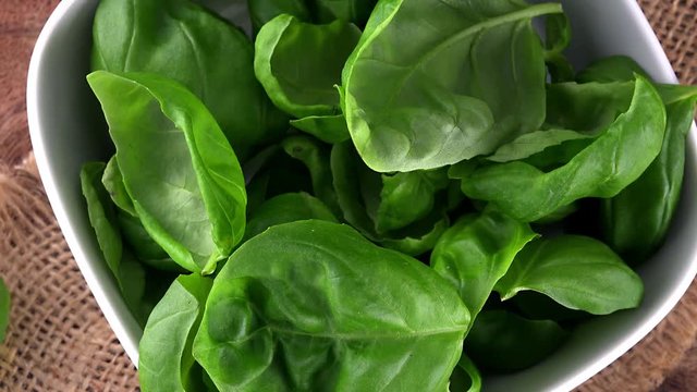 Portion of rotating fresh Basil as not loopable 4K  UHD footage