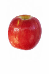 Cripps pink apple (Malus domestica Cripps Pink). Alternate name is Pink lady apple. Image of single apple isolated on white background