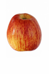 Cameo apple (Malus domestica Cameo). Hybrid between Red Delicious apple and Golden Delicious apple probably. Image of apple isolated on white background