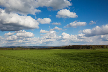 Fototapeta na wymiar Landschaft bei der Gemeinde Winterlingen auf der Schwäbischen Alb