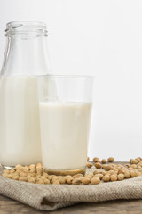 Bottle and glass of soy milk with soybeans, on white with copy-space