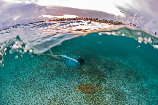 Snorkeler gets close to sea turtle in the shallows of Akumal Bay at sunset, Mexico