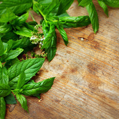 Green mint leaves on wooden background © iryna1