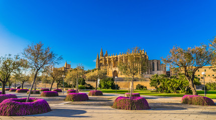 Mallorca Palma Wahrzeichen Kathedrale La Seu