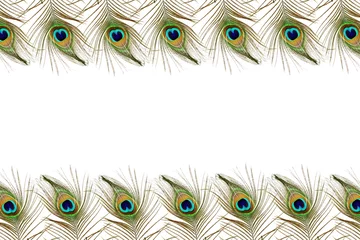 Fototapeten Beautiful peacock feathers as background with text copy space © gv image