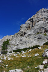 DOLOMITI DEL BRENTA IN TRENTINO ALTOADIGE