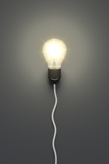 light bulb on a grey background