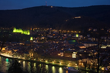 Aktion Heidelberg in Grün mit beleuchtetem Schloss
